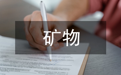 2006礦物業(yè)公司工會(huì)年終工作總結(jié)