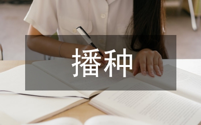 花生單粒播種豐產培育技巧