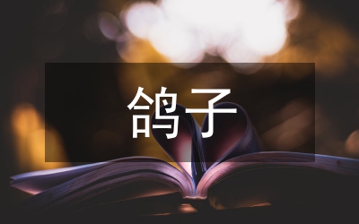 喂鴿子