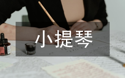 電聲小提琴演奏