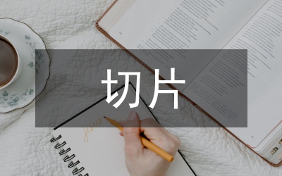 模切片分檢系統(tǒng)的硬件設(shè)計(jì)