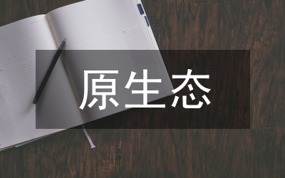 淺談苗族原生態(tài)音樂保護(hù)與發(fā)展