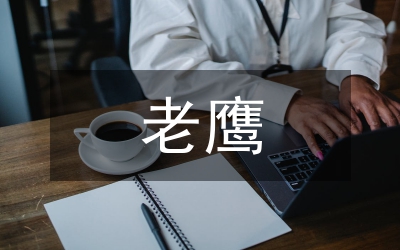 海龜和老鷹