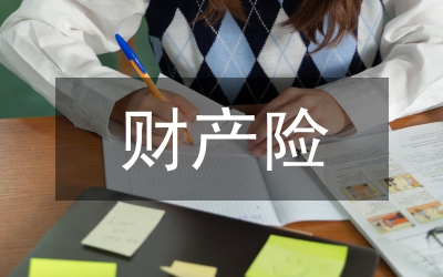 民事財(cái)產(chǎn)調(diào)查