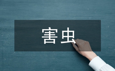 煙葉倉貯害蟲防治論文