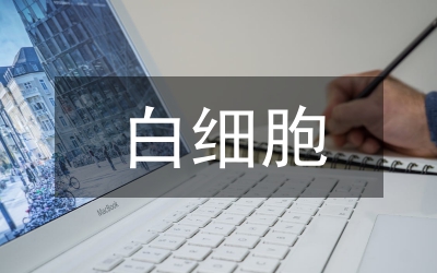 白細(xì)胞計(jì)數(shù)