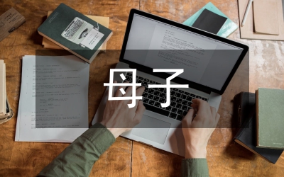 母子公司財務管控對集團績效影響探討