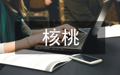 核桃機(jī)械深加工工藝關(guān)鍵技術(shù)研究