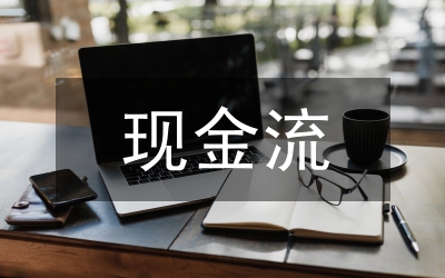 房地產(chǎn)開發(fā)企業(yè)融資和現(xiàn)金流管理探索
