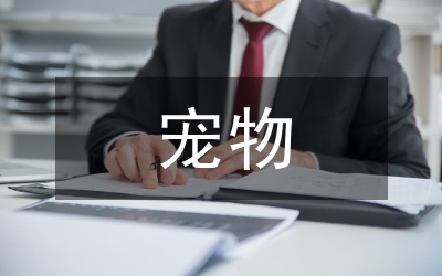寵物家具造型設(shè)計方法探索