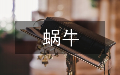 我發(fā)現(xiàn)了蝸牛的秘密