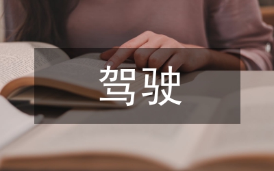 駕駛工作總結(jié)