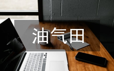 從油氣供需形勢看中國油氣安全