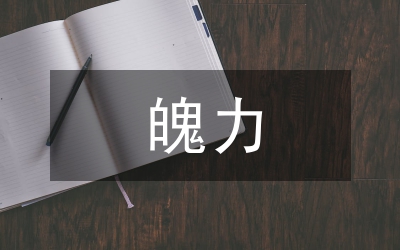 二人轉(zhuǎn)表演藝術(shù)魄力