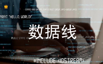 數(shù)據(jù)線(xiàn)