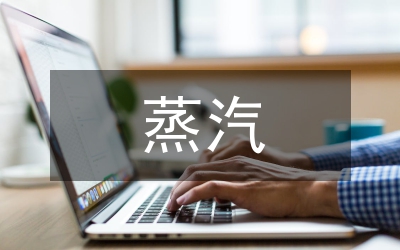 蒸汽流量計量準確性論文