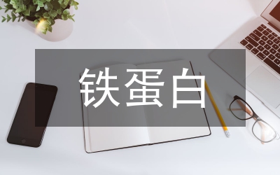 人乳鐵蛋白抑制鼻咽癌細(xì)胞增殖論文