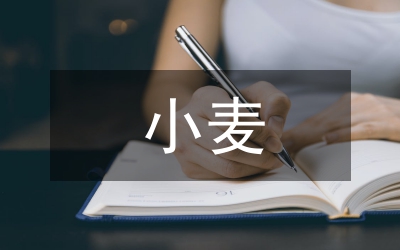 小麥栽培標(biāo)準(zhǔn)化
