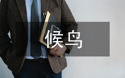 越冬候鳥保護(hù)事宜