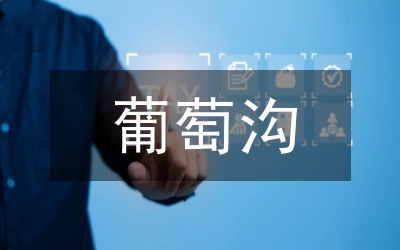 酒葡萄及葡萄酒產(chǎn)業(yè)發(fā)展意見