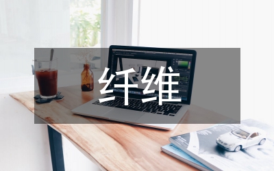 纖維藝術(shù)論文：透析現(xiàn)代意識工藝下纖維藝術(shù)