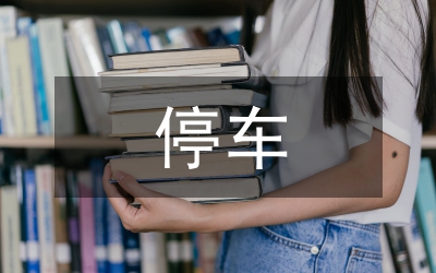 城區(qū)停車秩序調(diào)查匯報
