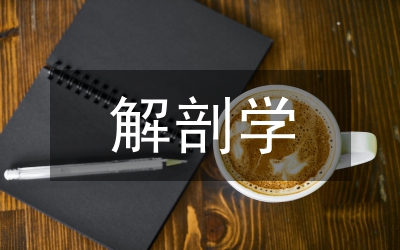 人體表面解剖學(xué)在針灸推拿專業(yè)的實(shí)踐
