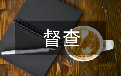 辦公室督查室工作打算