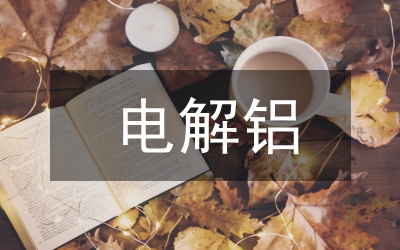 電解鋁企業(yè)財(cái)務(wù)風(fēng)險(xiǎn)及防范對(duì)策