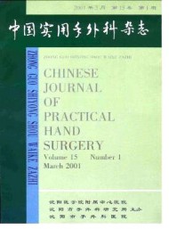 中國實(shí)用手外科