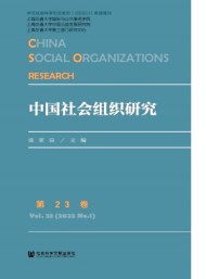 中國(guó)社會(huì)組織研究